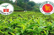 9.8 lakh kilograms of tea sold in 2nd auction in Ctg