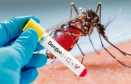 DNCC offers free dengue test at 13 healthcare centres