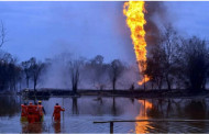 Environmental cost of Assam oil field blaze may never be recovered
