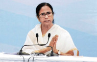 TMC lines up online fighters