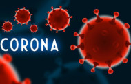 How long does coronavirus survive on different surfaces and air?