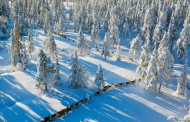 Climate change forces Sami reindeer herders to adapt