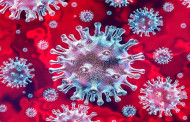 Tripura reports 25 more COVID19 positive cases
