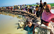 Solving the unending problem of Rohingya crisis