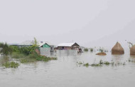 WFP, Oxfam, Green Delta Insurance join hands to protect labourers