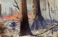 Two-fifths of plants at risk of extinction, says report