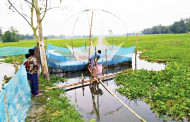 Long road to land rights