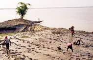 Drive to restore Sunderbans mangroves