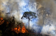 Fires spike in Brazil’s Amazon: Scientists