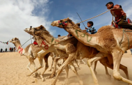 The tale of ending use of Bangladeshi children as camel jockeys