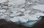 Average temperature in central Arctic may grow by 20 degrees by 2100: Research