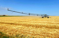 Europe’s heat and drought crop losses tripled in 50 years: Study