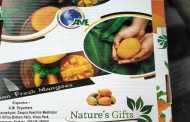 6,000 kilos of Malda mangoes head for Italy and Qatar