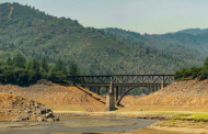 Drought-hit California asks residents to cut water use by 15 percent