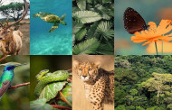 Protecting biodiversity