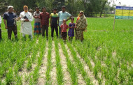 Agricultural journalism course at post-graduate level