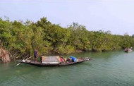 326 Sundarbans pirates to get houses, cattle