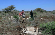 Livelihoods lost as climate disaster woes mount in Kenya