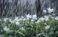 Rain likely in parts of Bangladesh in 24 hours