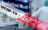 Assam 434 new COVID cases logged