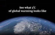Global warming poses serious extinction threat to mankind requiring immediate measures