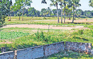 Legal Framework on the Extent of Land Ownership