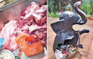 Irregularities in Dhaka Zoo: Animals not getting food on time