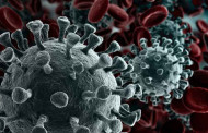 298 fresh Covid infections in Bengal