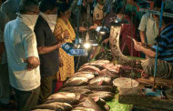Rohu and katla get costlier, hilsa sells cheaper in Kolkata markets