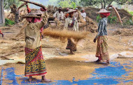 Mamata govt seeks to address crop procurement grievances of farmers