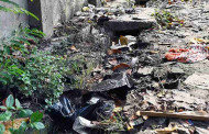 Experts list priorities in dengue fight in Kolkata, rest of West Bengal till December