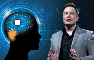 Musk vows interface implants in human brains within six months