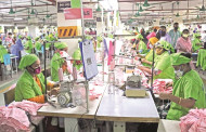 RMG sector posts record growth in EU market