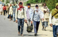 North Bengal: Trinamul's migrant letter drive