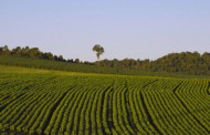 Assam Agri startups showcase initiatives at AAGL Demo Day event