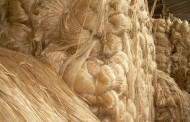 Bangladesh exports jute, jute goods to $1.2 bn