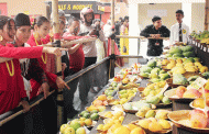 Siliguri: Rare and costly mangoes on display at festival