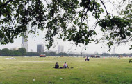 Calcutta High Court restricts tree uprooting for Victoria metro station in Maidan area