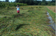 Tripura PCC demands financial help for cyclone-hit farmers