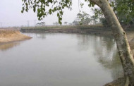 Illegal sand mining threatens endangered dolphins in Kulshi river
