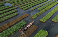MJF: 17.1% farmers changed agricultural practices due to climate change