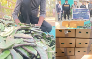 1000 kg of Assam-produced lablab beans exported to London