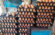 Two firms fined Tk 3.50cr for egg price manipulation