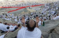 Muslim pilgrims pray on Mount Arafat in hajj climax