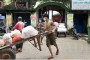 Strong Rivalries Shape Politics in Myanmar’s Rakhine State