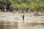 India-Bangladesh trade halts after exporters allege corruption