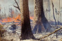 Environmental transformation in the era of Anthropocene