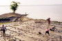 Coronavirus can infect brain tissue, affect memory, language: Brazilian study