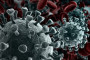 EU regulator probes possible kidney damage from coronavirus drug