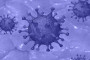 US Covid-19 cases surpass 9 m: JHU
